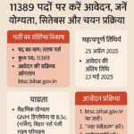 बिहार BTSC स्टाफ नर्स भर्ती 2025 के लिए 11389 पदों की जानकारी प्रदान करता हुआ एक हिंदी डिजिटल इन्फोग्राफिक, जिसमें पात्रता, आवेदन प्रक्रिया, तिथियाँ और भर्ती विवरण स्पष्ट रूप से दर्शाए गए हैं।