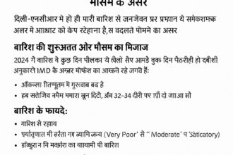 दिल्ली की सड़कों पर बारिश के दौरान जलजमाव